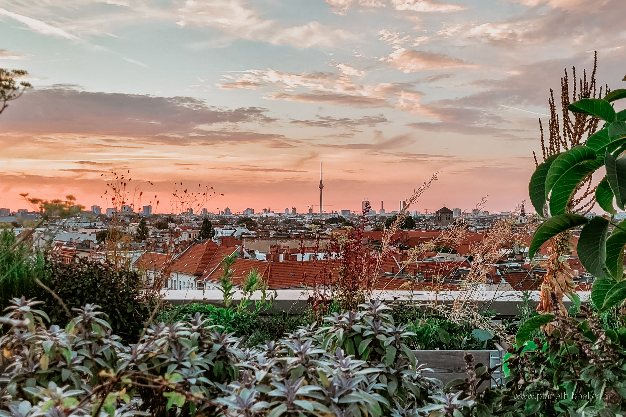 Der Rhein Kreis Neuss 18 schönsten Ausflugsziele