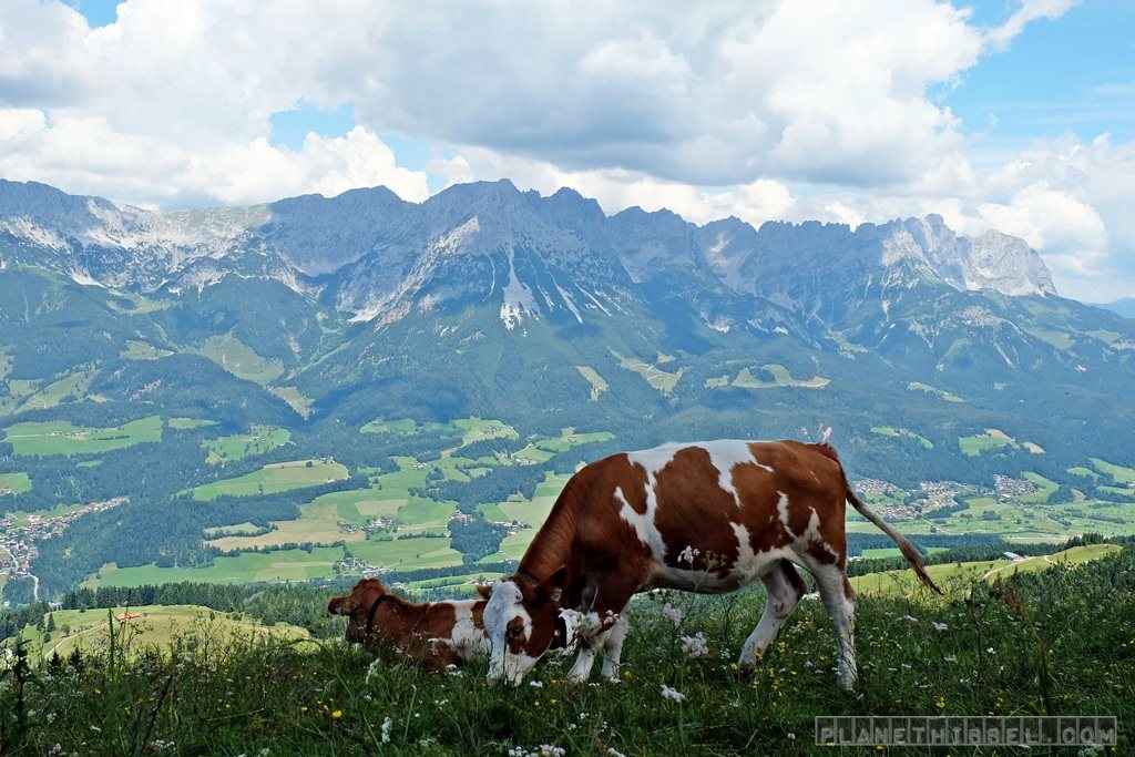 Tirol (1)
