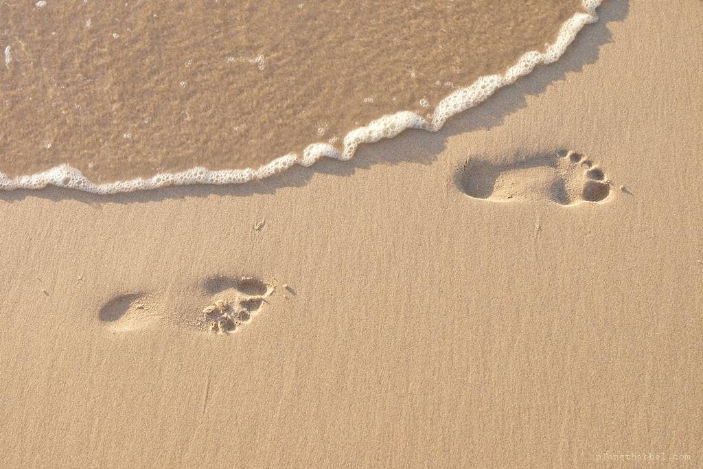 leave nothing but footprints