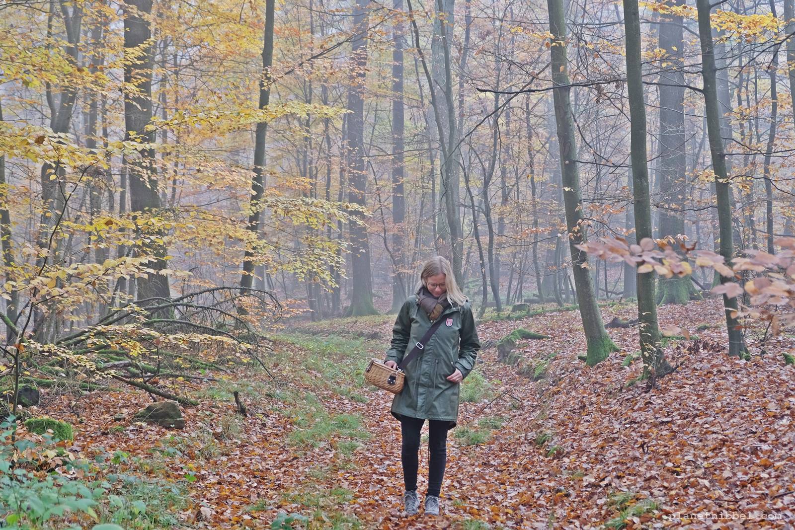 Raus Aus Dem Haus Unsere Themenwanderung Im Naturpark Taunus