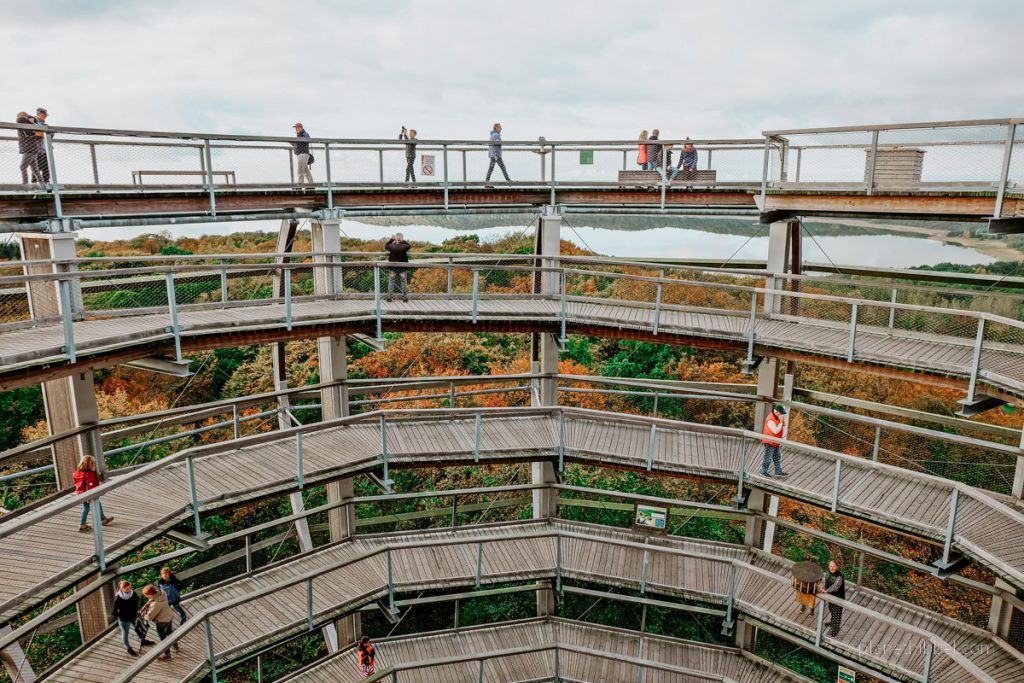 Baumwipfelpad auf der Insel Rügen