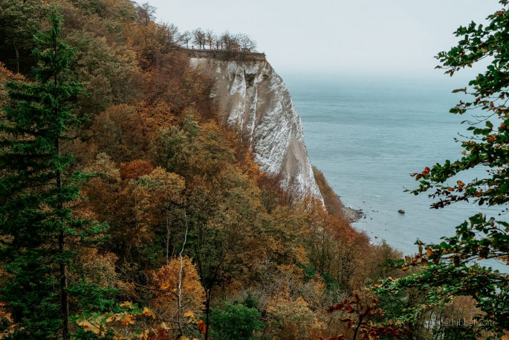 Kreidefelsen auf Rügen