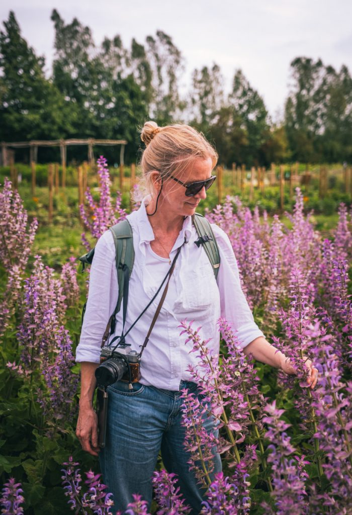 Frau im lila Blumenfeld der Bloemenwij in der Leie-Region. 